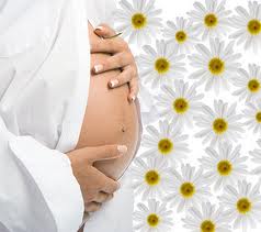 pregnant and flowers